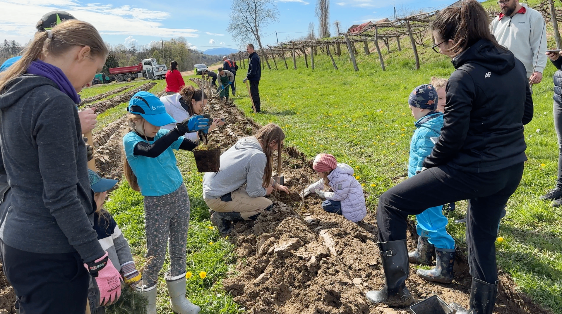 Otrok od blizu opazuje rastline in žuželke v food forest vrtu